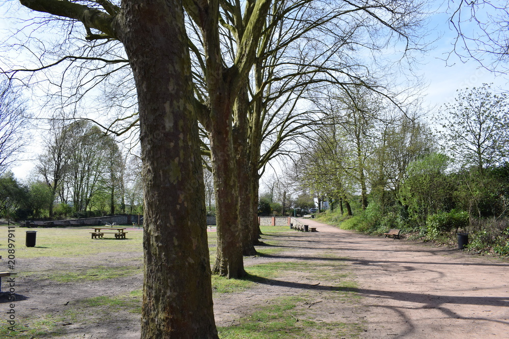Fototapeta premium jardin des plantes de lille 
