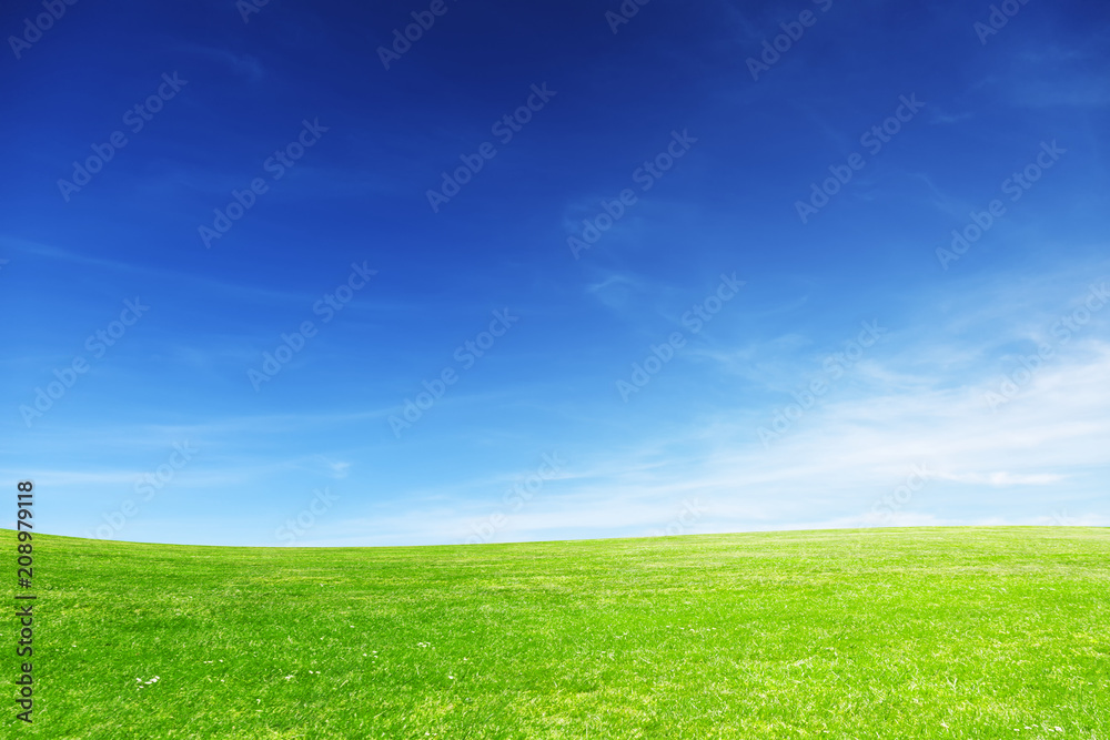 An ideal meadow enlightened with sunshine on a spring day. Perfect background and banner An ideal meadow enlightened with sunshine on a spring day. Perfect background and banner