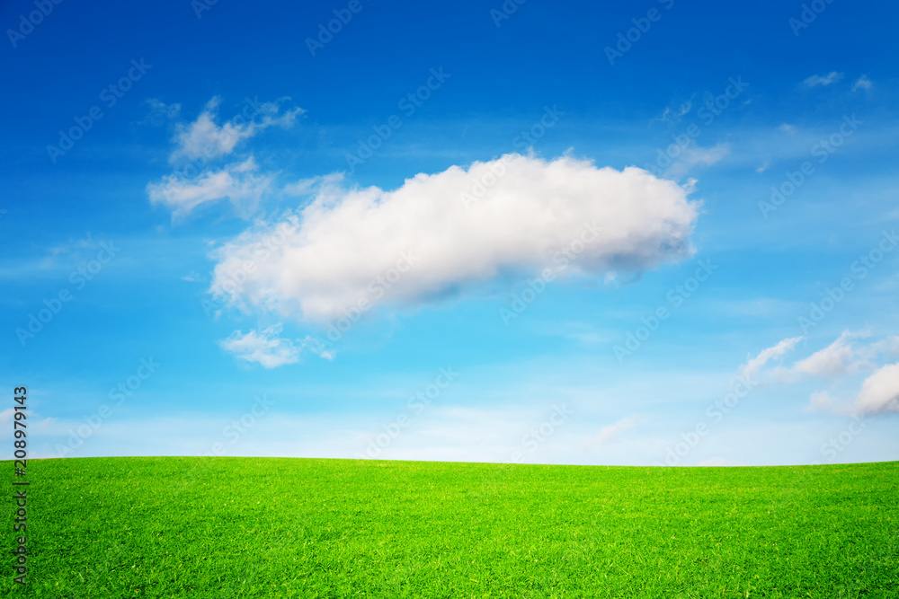 A large ideal cloud above a beautiful, unique meadow with sunshine