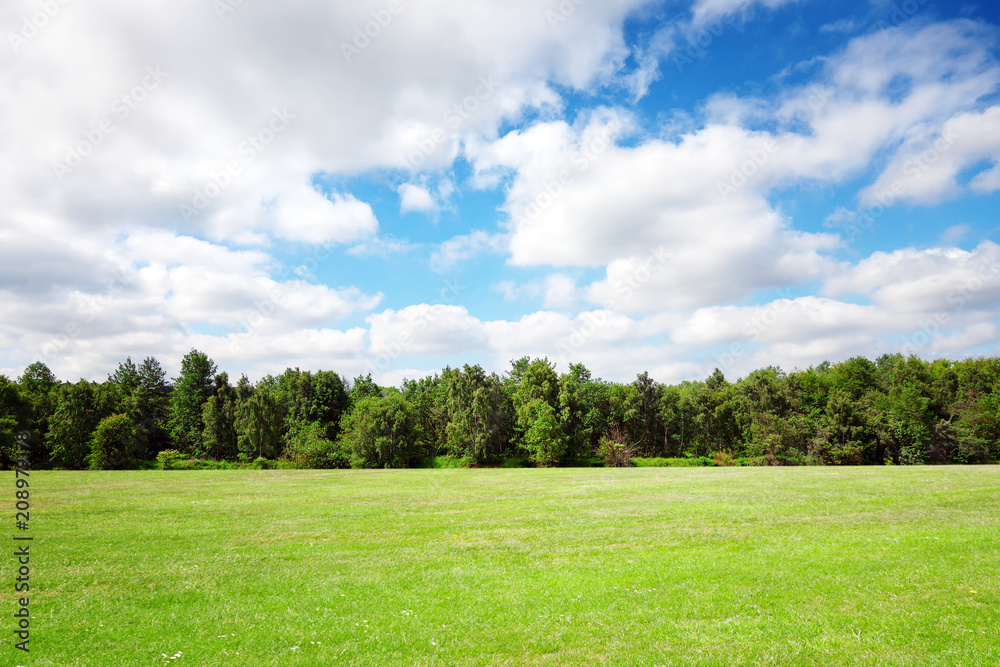 Meadow, trees and sky during summer Meadow, trees and sky during summer