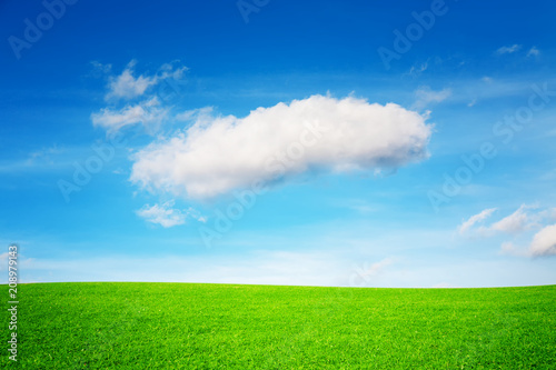A large ideal cloud above a beautiful  unique meadow with sunshine