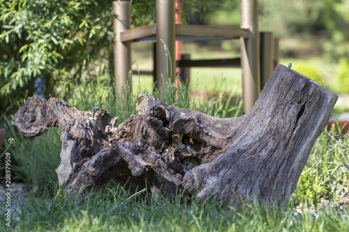 Dry dead snag on garden background.