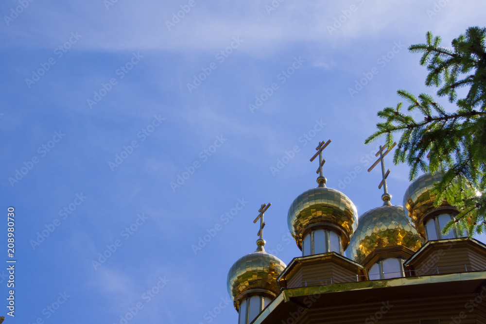Vew on the wooden cathedral and sky from behind the fir branches