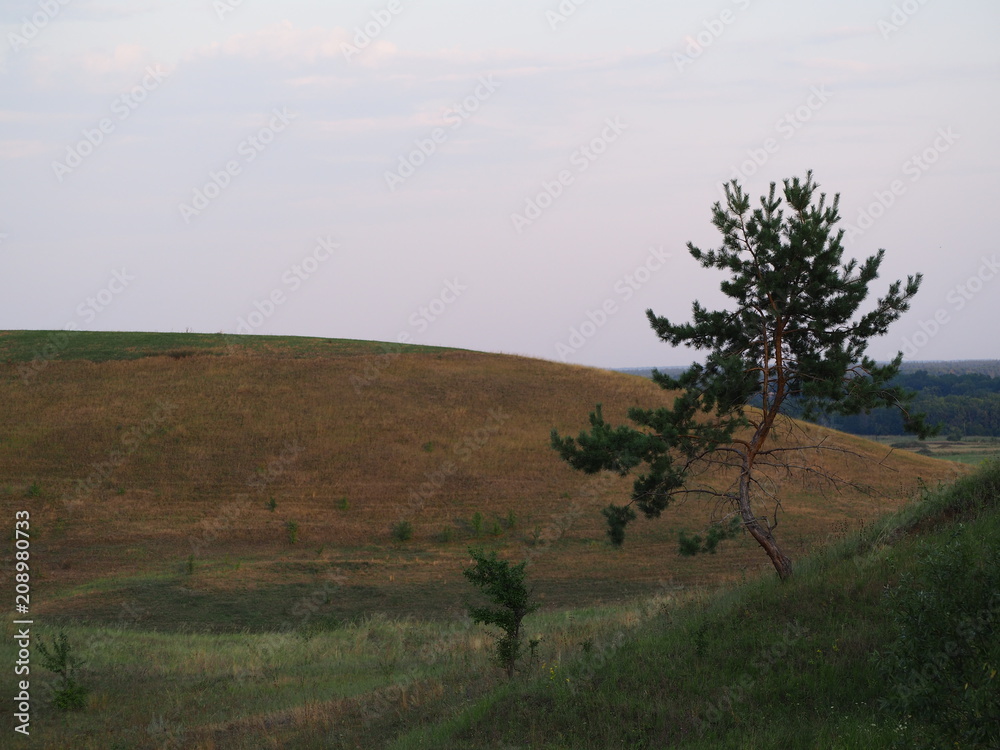 Obraz premium OLYMPUS DIGITAL CAMERA