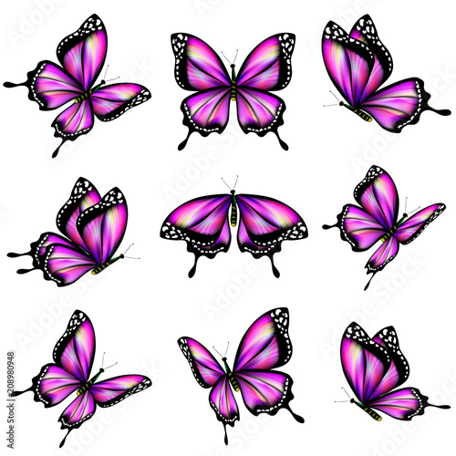 beautiful color butterflies,set, isolated  on a white © aboard