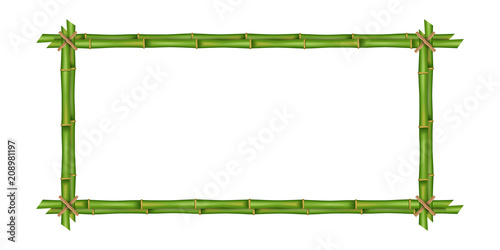 Creative vector illustration of bamboo stems frame isolated on background. Art design blank mockup template. Rope, paper, silk canvas. Abstract concept tropical signboard. Empty place for your text