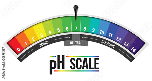 Creative vector illustration of pH scale value isolated on background. Chemical art design infographic. Abstract concept graphic litmus paper element