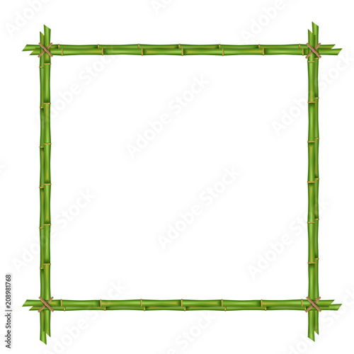 Creative vector illustration of bamboo stems frame isolated on background. Art design blank mockup template. Rope, paper, silk canvas. Abstract concept tropical signboard. Empty place for your text