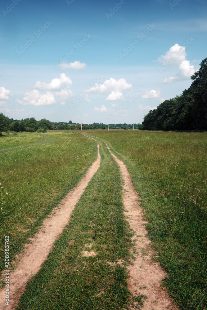 Obraz premium road, field, forest and cloudy sky in summer time