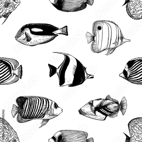 Seamless pattern of hand drawn sketch style tropical fish isolated on white background. Vector illustration.