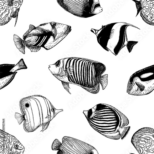 Seamless pattern of hand drawn sketch style tropical fish isolated on white background. Vector illustration.