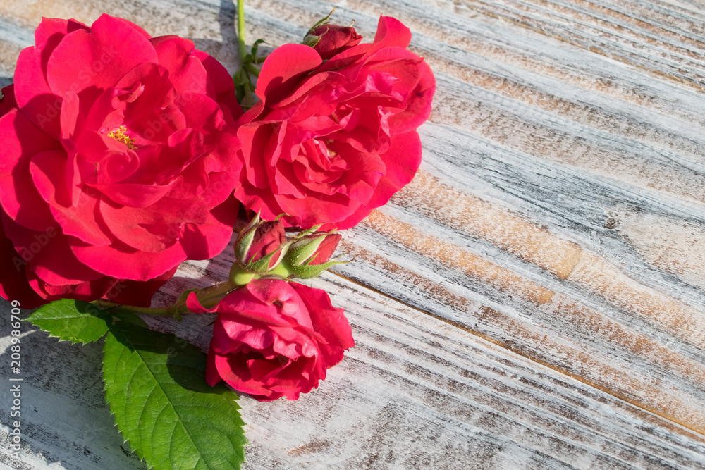 tea rose on a shabby chic wooden backdrop