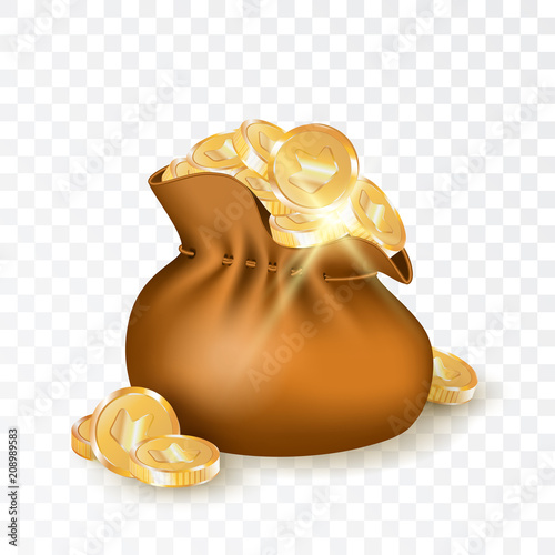 Bag with Golden Coins Vector Illustration