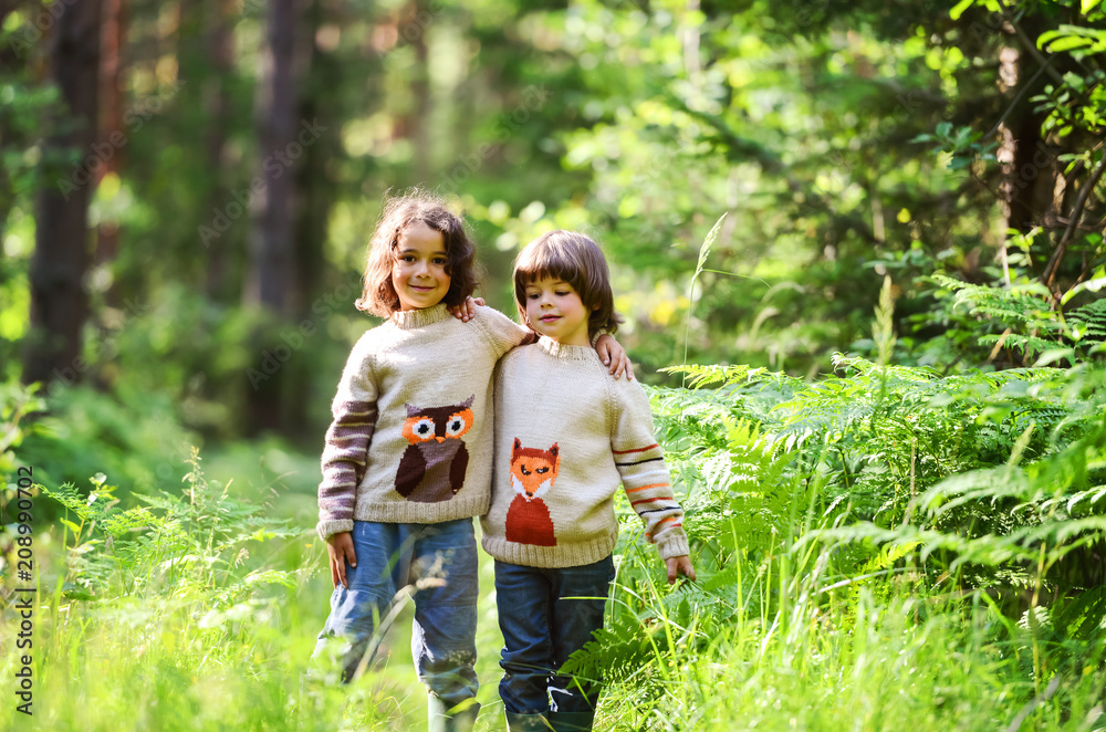 Fototapeta premium Two boys are hugging in the woods. In sweaters with a Fox and an owl in the summer on a Sunny day