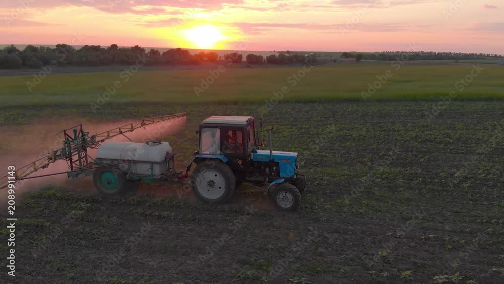 Aerial view of a tractor that irrigates the field with a young, fresh potato at sunset. The process of spraying field growths from insects and loaders. Aerial view of a tractor that irrigates the field with a young, fresh potato at sunset. The process of spraying field growths from insects and loaders.