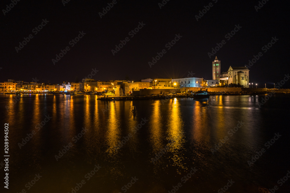 Scenic view of Trani Cathedral and port at night, Apulia, Italy