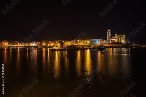 Scenic view of Trani Cathedral and port at night  Apulia  Italy