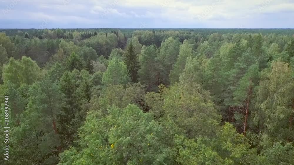 Aerial view of a forest with traditional Chapel and a cemetery in Estonia. Aerial view of a forest with traditional Chapel and a cemetery in Estonia.