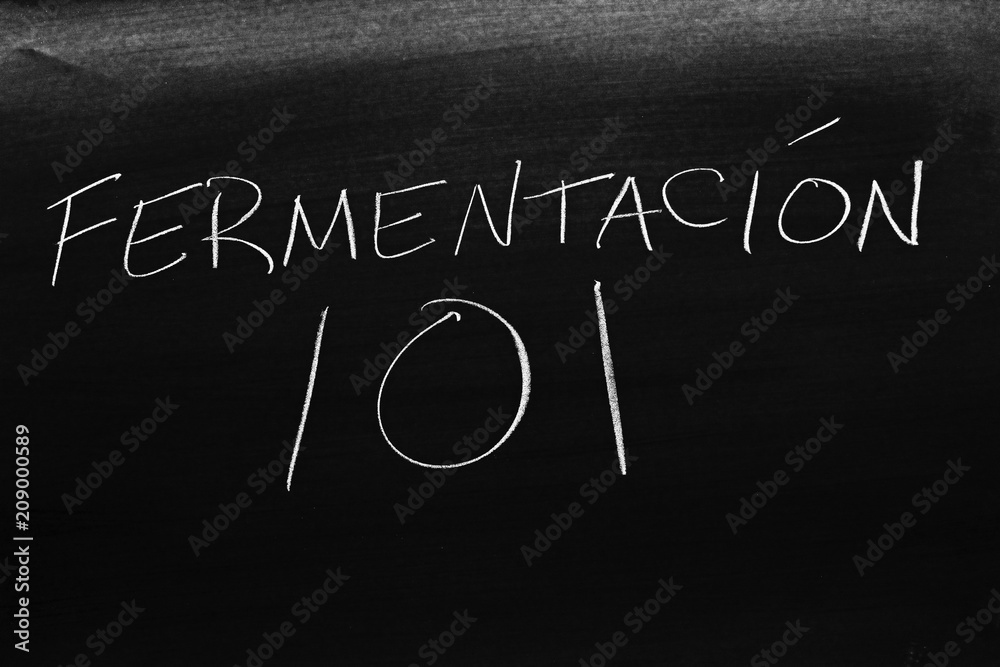 Fototapeta premium The words Fermentación 101 on a blackboard in chalk. Translation: Fermentation 101