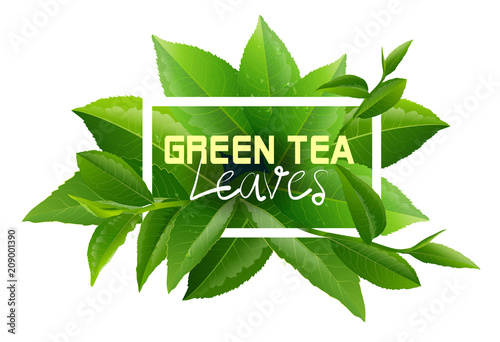 Green leaf with water drops for background.