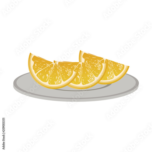 Orange slices on dish vector illustration graphic design