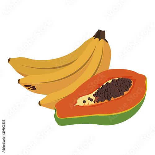 Bananas and papaya vector illustration graphic design