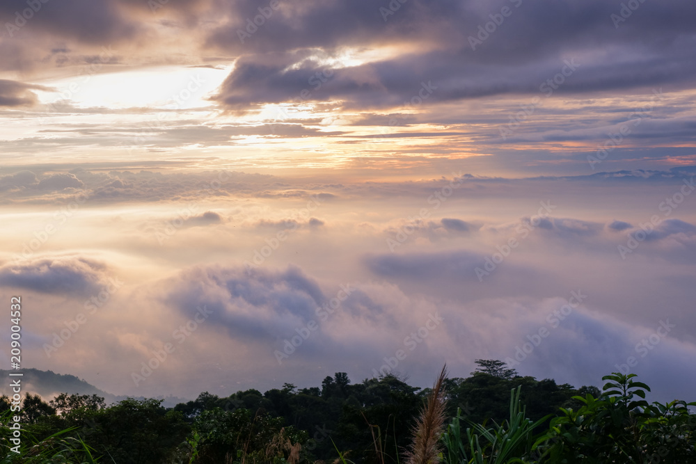 morning the cold weather is make floating fog on the mountain of mist slow floating fog blowing cover on the top of mountain 