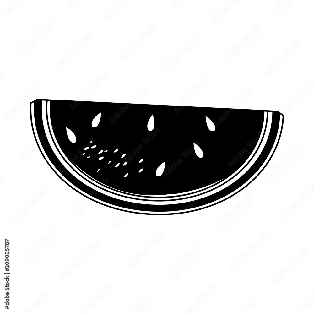 Watermelon sliced fruit vector illustration graphic design