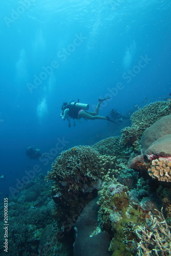 Female Scuba Diver Tropical Coral Reef Underwater