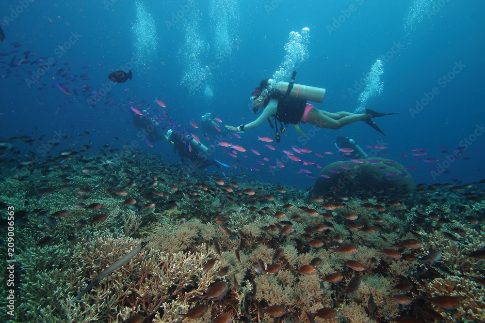 Fototapeta premium Woman scuba diver in pink bikini with pink tropical fish