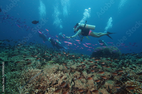 Woman scuba diver in pink bikini with pink tropical fish