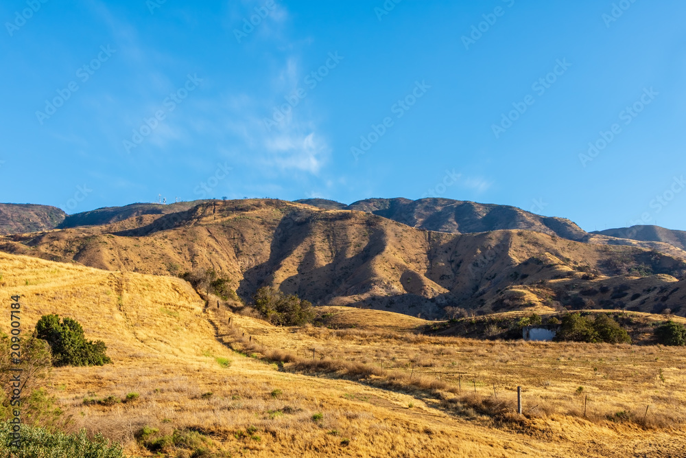 Land recovers from forest fires last fall