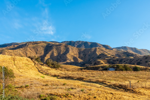 Southern California forest mountains regrow after forest fire burned six months past