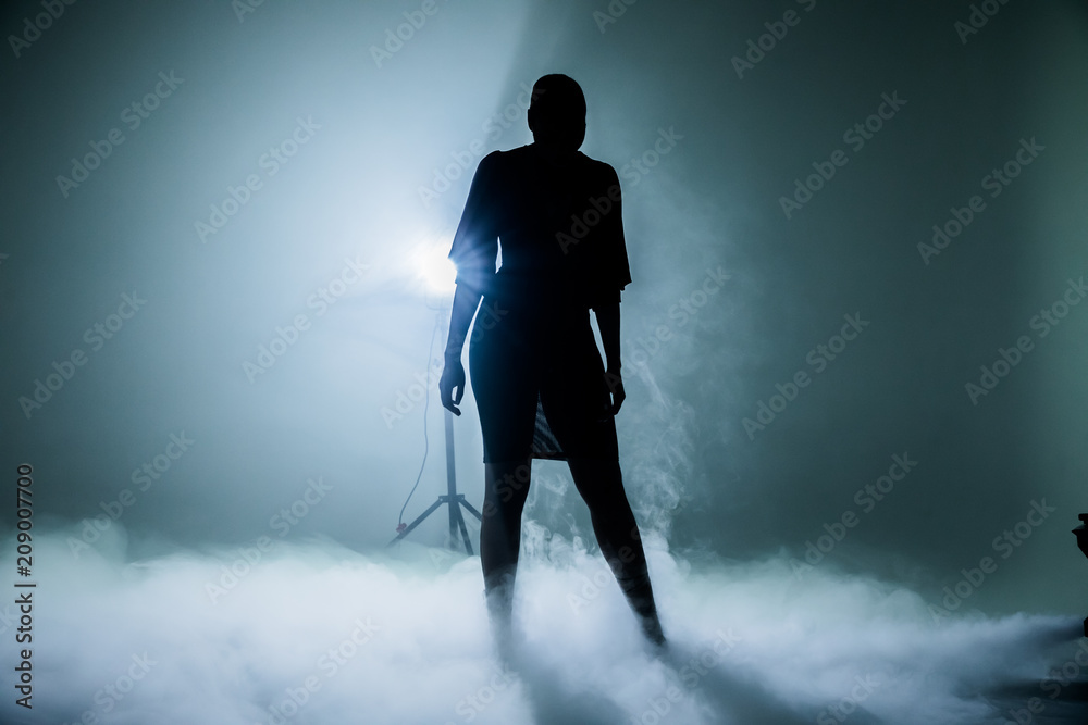 Fototapeta premium silhouette 7