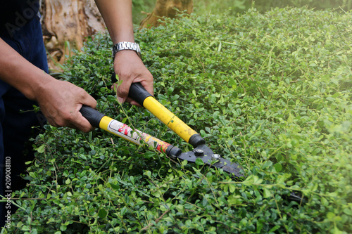 cut the grass, Gardener mowing