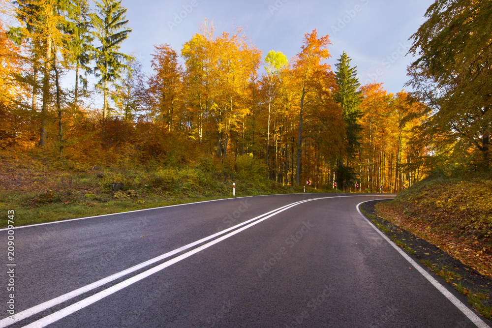 Colorful beautiful autumn road. Northern Poland