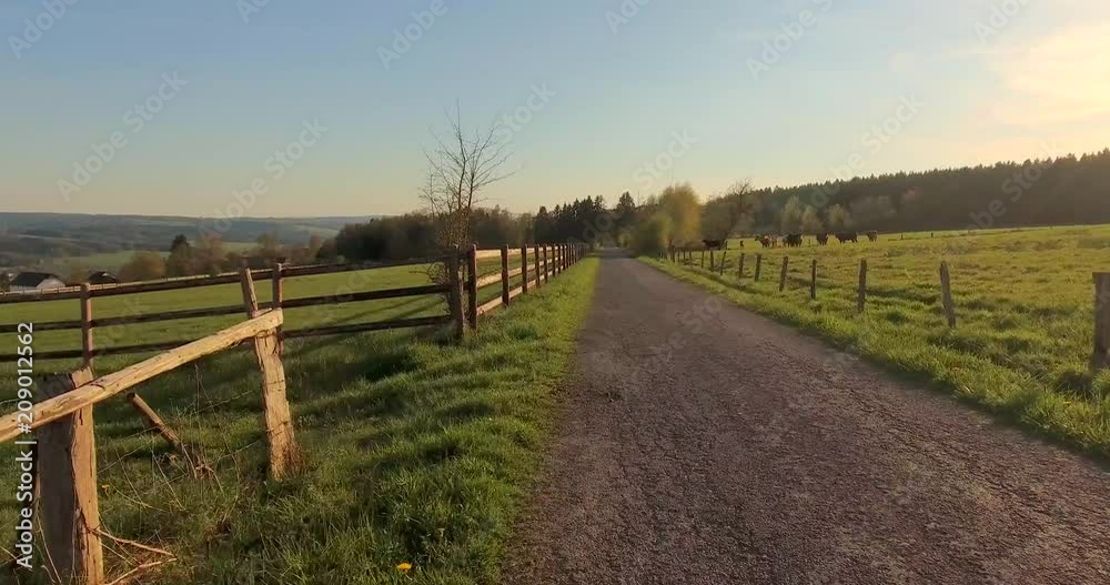 Rural landscape with dirt road between green fields Rural landscape with dirt road between green fields