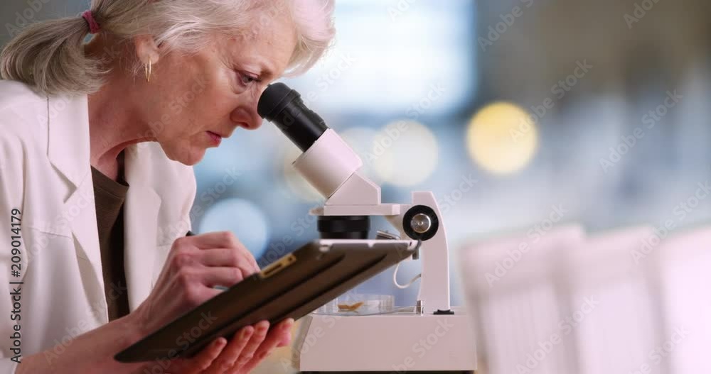 Mature female scientist working alone in lab takes notes on tablet computer and looks into microscope, Senior woman using pad to do medical research, 4k