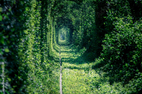 Fototapeta kolej w leśnym tunelu miłości