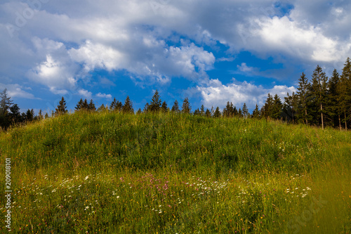 Schwarzwaldpanorama