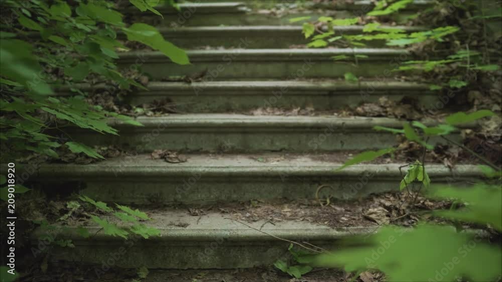 An old abandoned staircase. An old stone porch with a staircase. Old stone steps. An old abandoned staircase. An old stone porch with a staircase. Old stone steps.