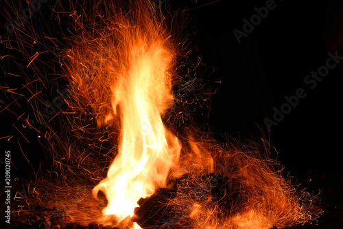 The fire element of nature background. Fire flame with burning logs. Burning firewood and ember close up. Burning dark red-orange background.