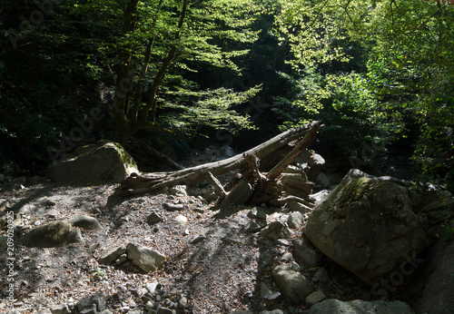 Mamed gorge on the Black Sea coast of Russia photo