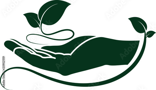 leaf in hand icon
