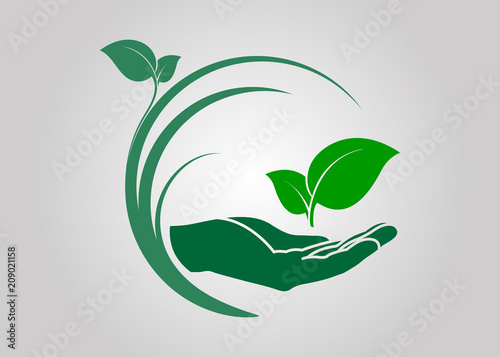 leaf in hand icon