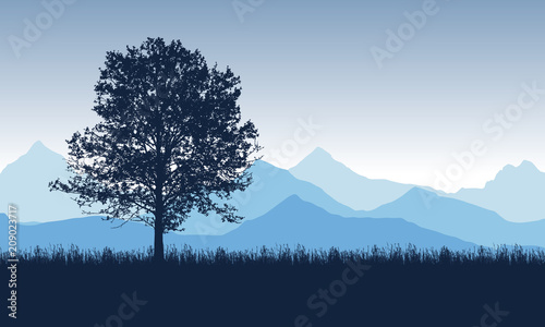 Deciduous tree on the grass with blue mountains in the background, under the morning sky