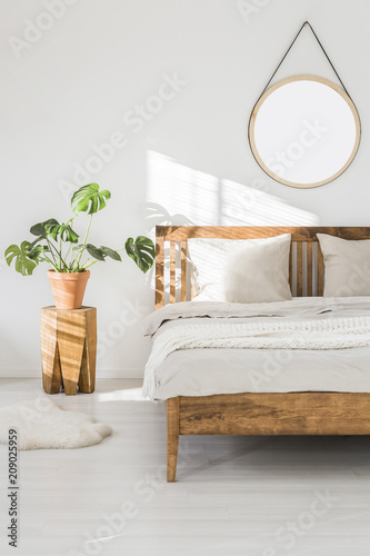 Monstera plant on a tree trunk night stand and a round mirror on a white wall in a sunlit bedroom interior with wooden furniture