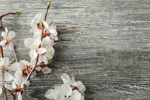 Beautiful blossoming branches on wooden background