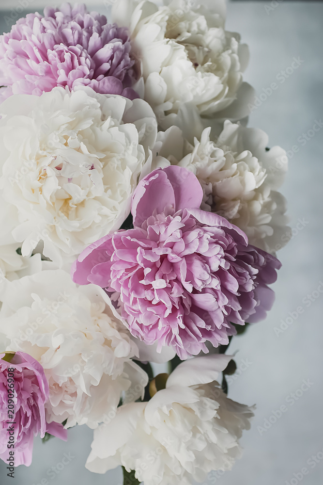 Bouquet of flowers close-up. White and pink peonies. Bouquet of flowers close-up. White and pink peonies.