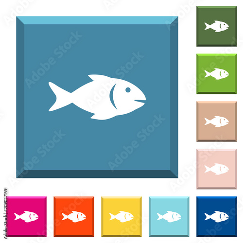 Fish white icons on edged square buttons